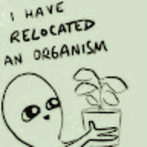 Meet your Posher, Valentine